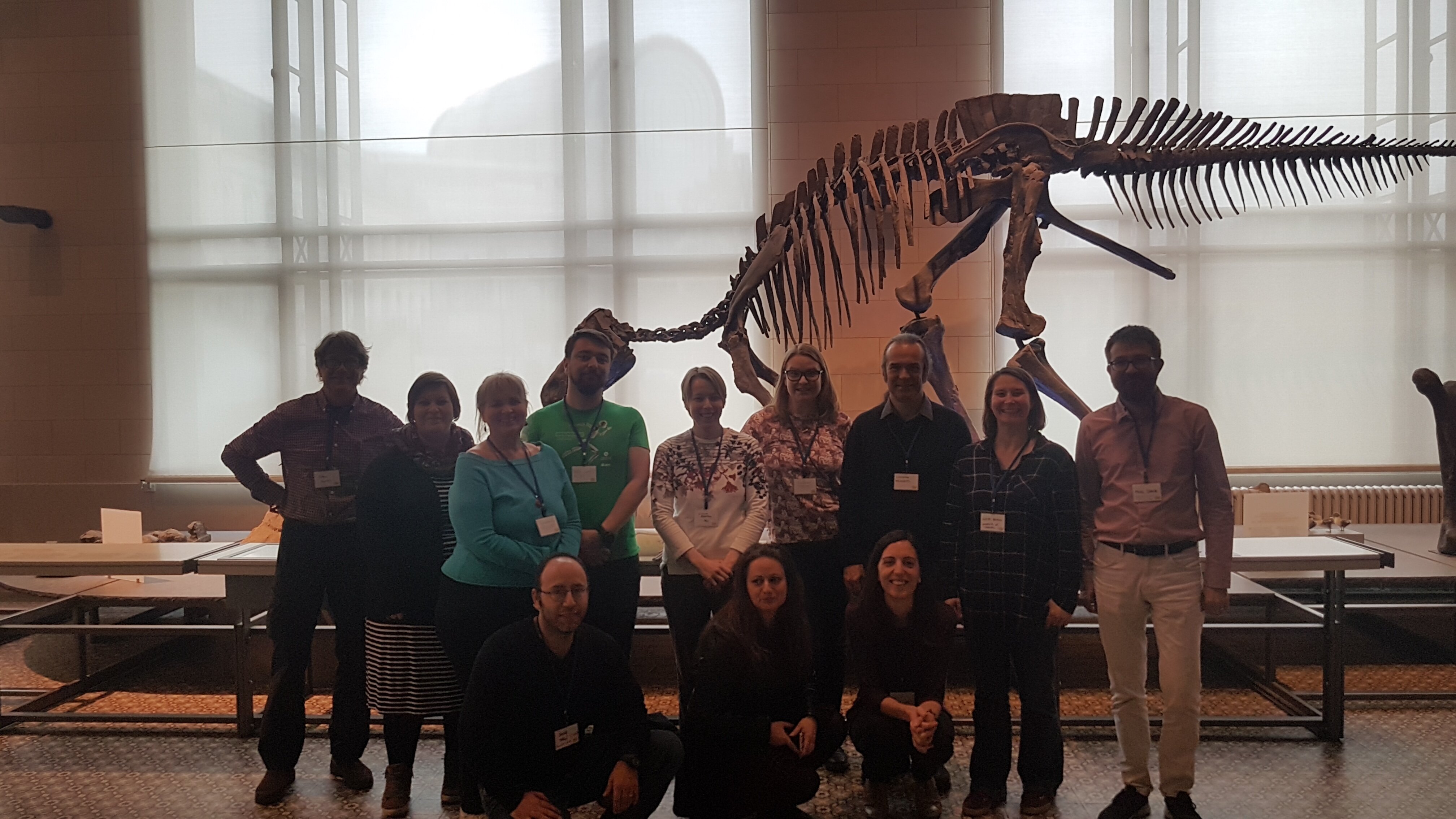 The workshop participants at the Royal Belgian Institute of Natural Sciences